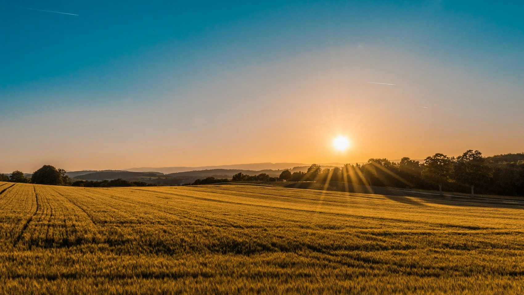 Visit a working farm with a better question.